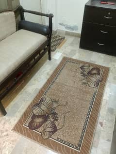 ab brown colour rug