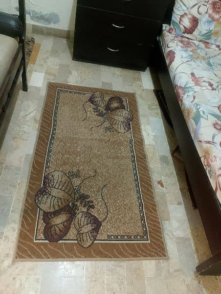 ab brown colour rug 2