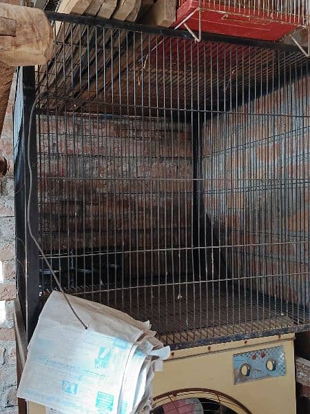 raw parrot cage hai full big size  2 cage hain big size ky 0