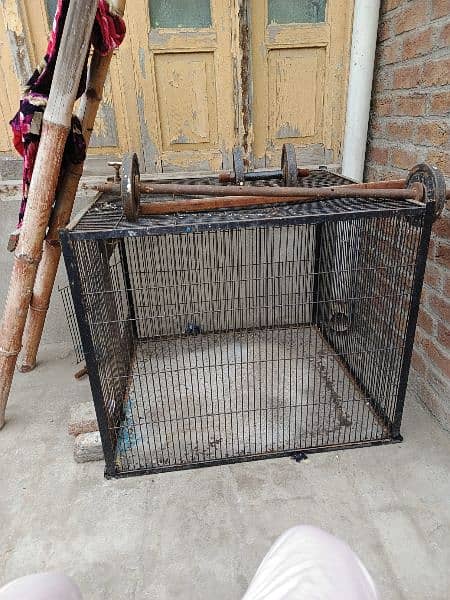 raw parrot cage hai full big size  2 cage hain big size ky 1