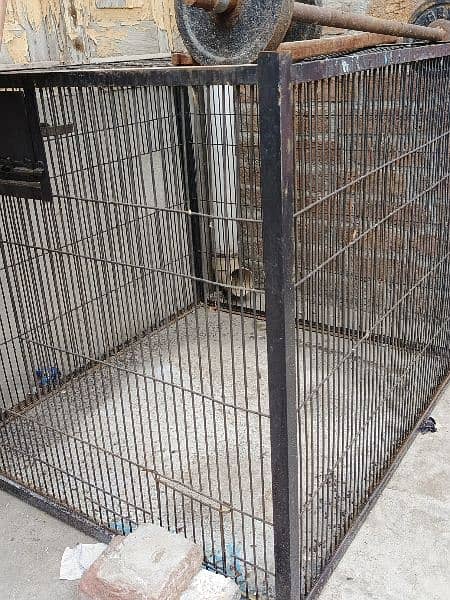 raw parrot cage hai full big size  2 cage hain big size ky 2