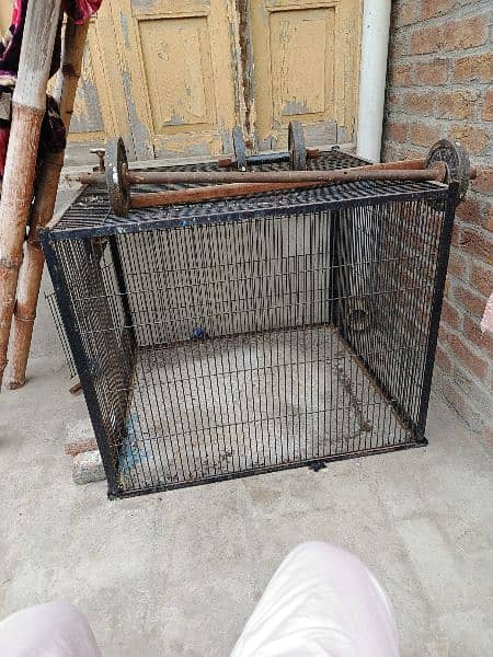 raw parrot cage hai full big size  2 cage hain big size ky 3