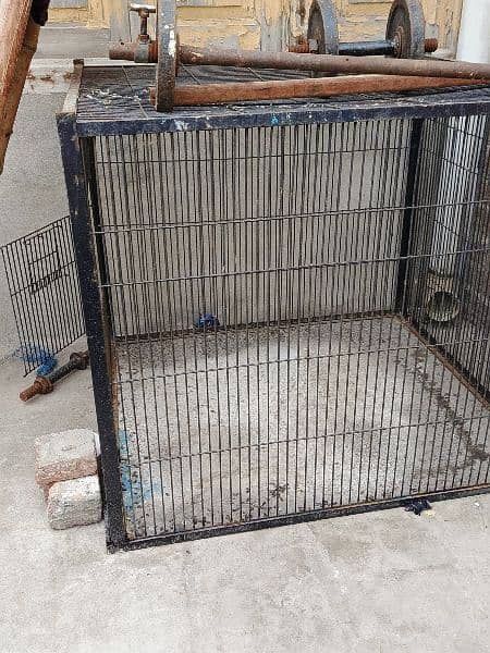 raw parrot cage hai full big size  2 cage hain big size ky 4