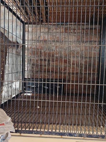 raw parrot cage hai full big size  2 cage hain big size ky 5