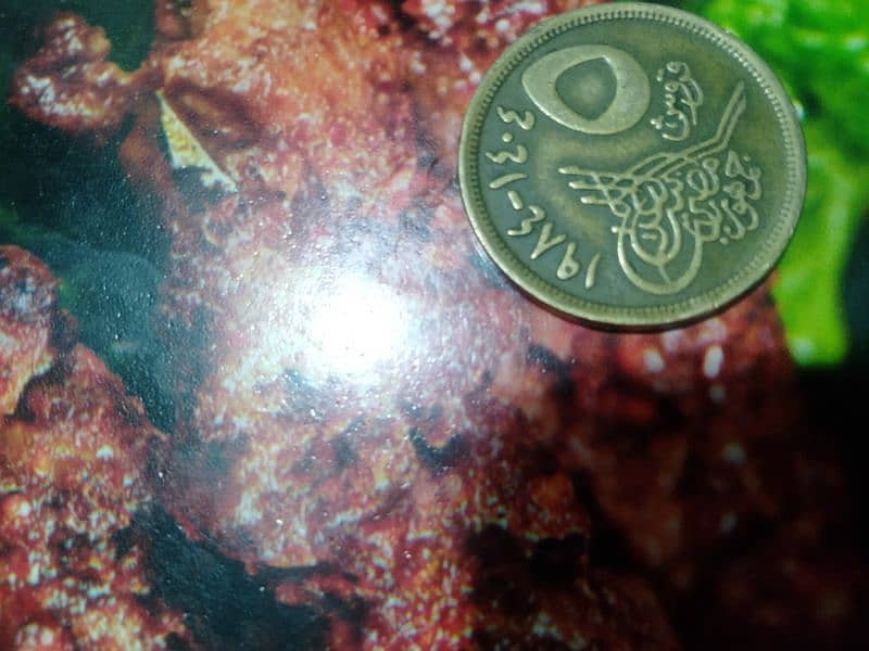The Rare coin available urgent only 1850000 2