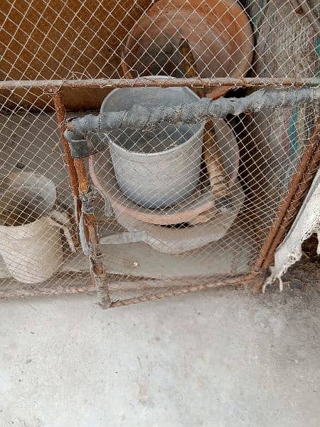 big cage for sale 3