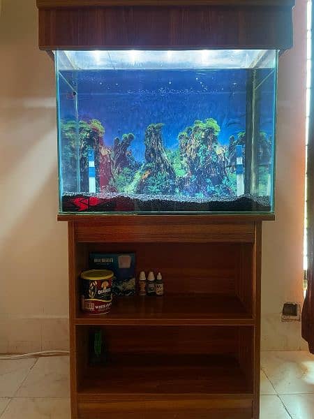 Fish Tank Aquarium 0