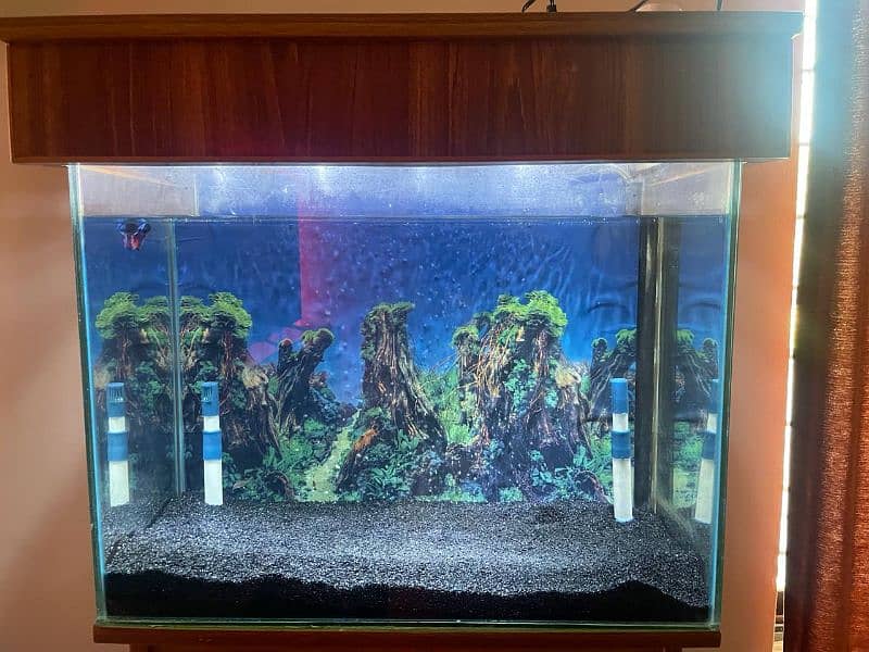 Fish Tank Aquarium 1