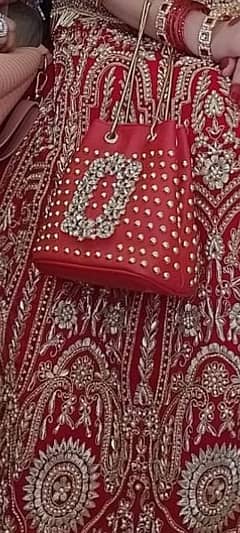 fancy Red handbag