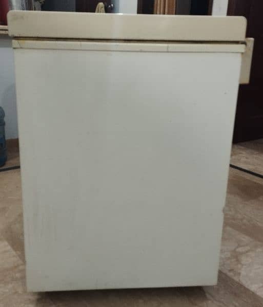 Freezer For Sale 4