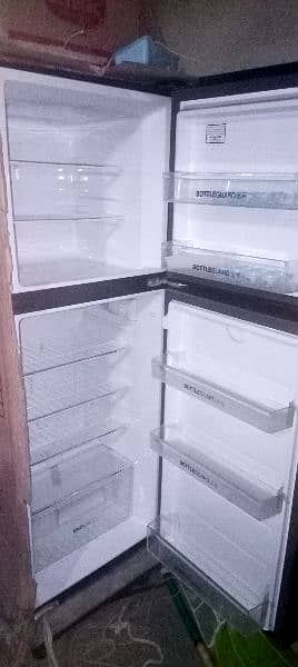 new freezer sale . 1