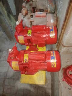 Water pump Lal pump 0