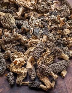 Dry Morel mushrooms