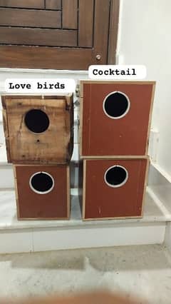 breeding boxes 5 for cocktails and love bird
