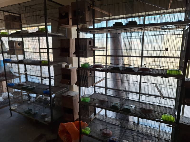 8 portion cages for sale 0