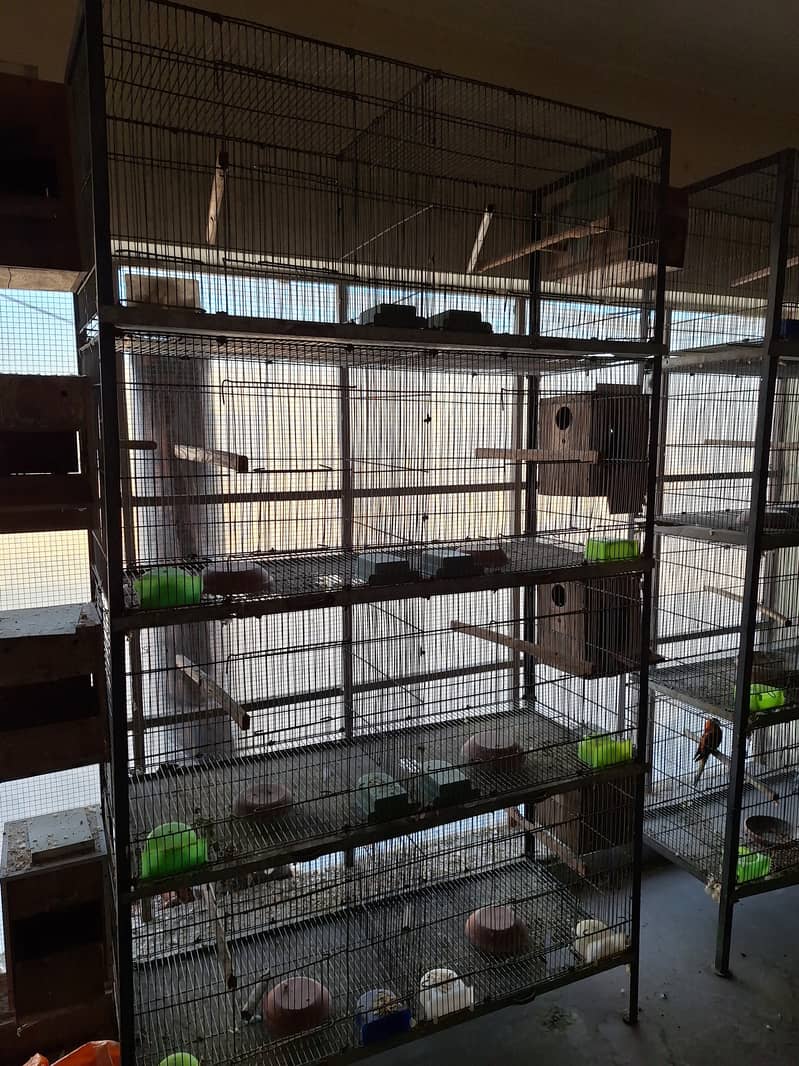 8 portion cages for sale 1