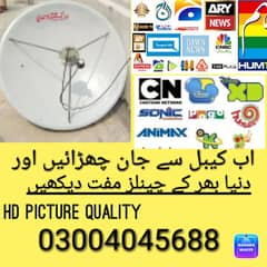 Dish antenna PE 300 tv channels live free forever