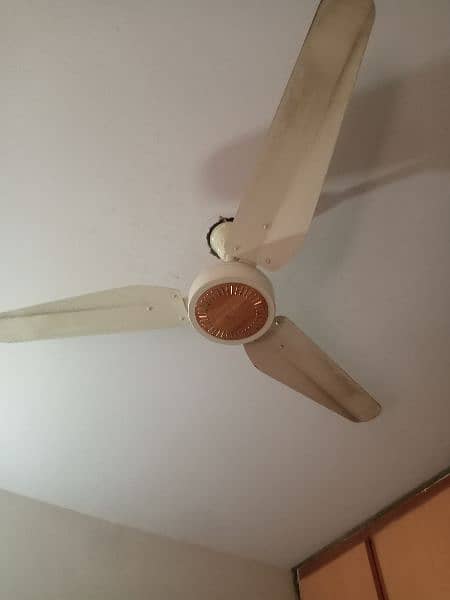Ceiling Fan 4