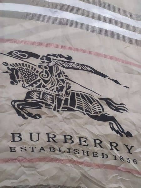 Burberry scarf London 3