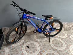 Caspian 920 alloy rim bicycle