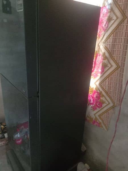 Hair Refrigerator 246 medium size 1