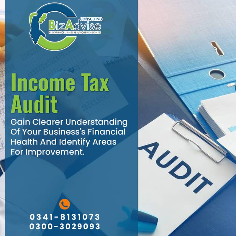 Tax Preparer/Tax Filing/ Tax Accounting/Tax Filer/Income Tax Return 2