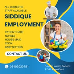 Maid , Cook, Driver , Babysitter , Couple , Office Boy domestic staff