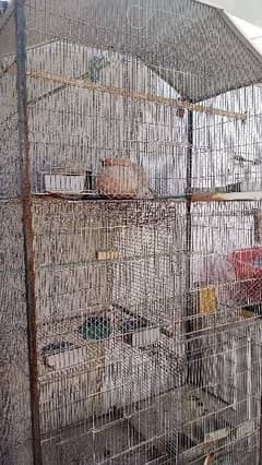 selling big cage urgent