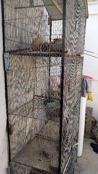 selling big cage urgent 1