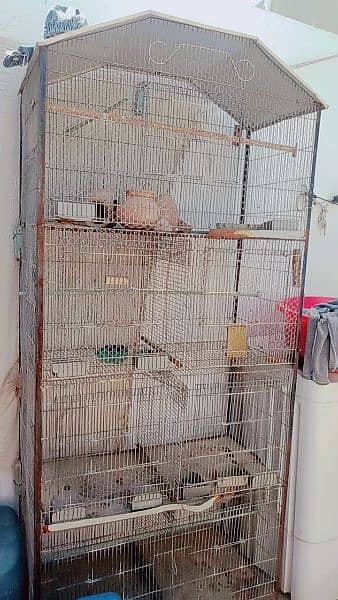 selling big cage urgent 2