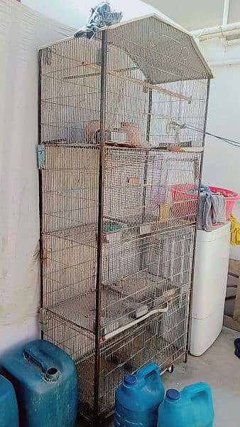 selling big cage urgent 4