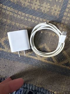 20 V Apple charger
