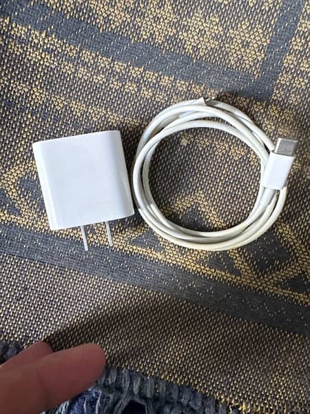 20 V Apple charger 0