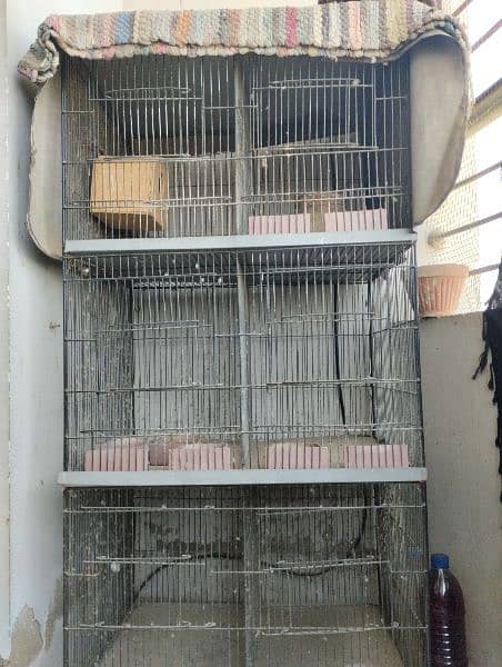bird cage 0