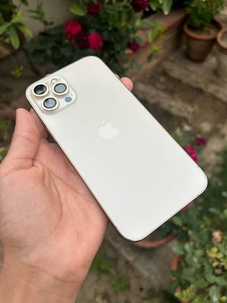 Iphone 12 pro max non pta fu 0