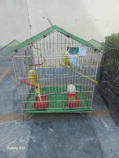 2 Australian Parrot, 1 Red eye, and cage