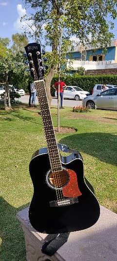 Washburn jumbo size acoustic professional guitar