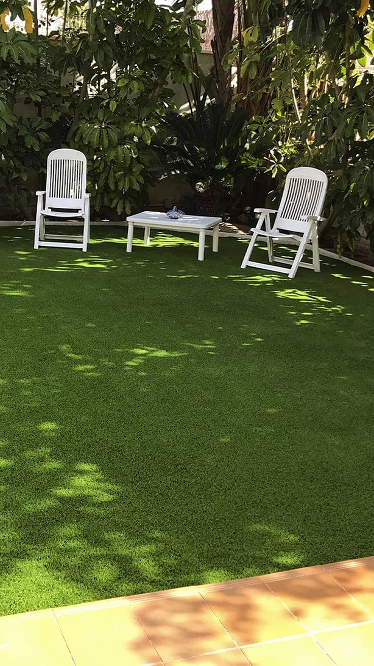 Grass/Astroturf/Sport net/Roof Grass/GrassCarpet/Artificial Plants 3