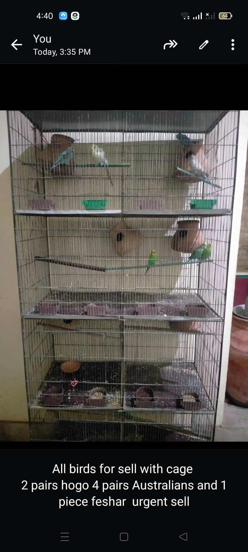 All birds for sell with cage 0