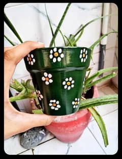 beautiful hand painted pots (4,5,6 & 8 inches)
