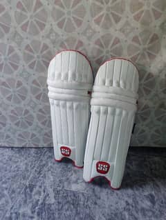 Batting Pads For professionals