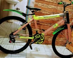 bicycle brand new 1 day used dual gears ful size cal no 03149505437