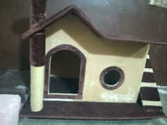 Cat house 0