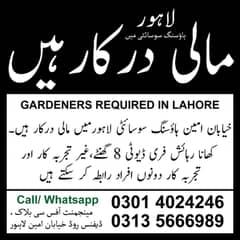 Gardener/ Mali Required in lahore