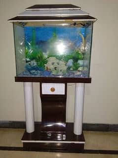 Aquarium for fish