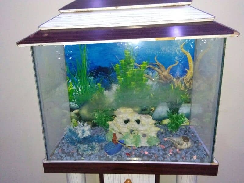 Aquarium for fish 1