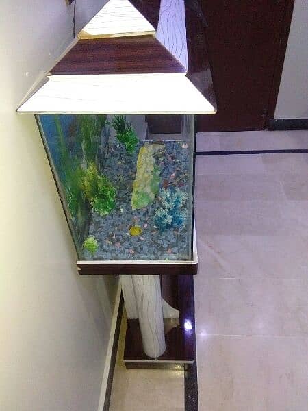 Aquarium for fish 2