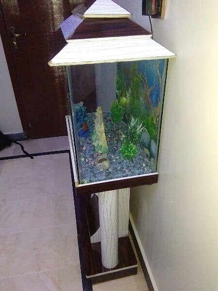 Aquarium for fish 3