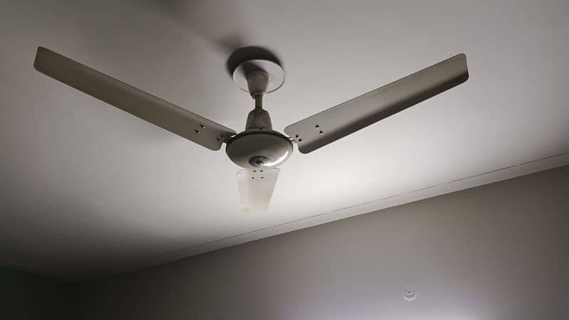 Royal  Celling Fan 0