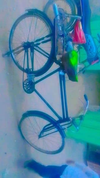 baba Bicycle 1